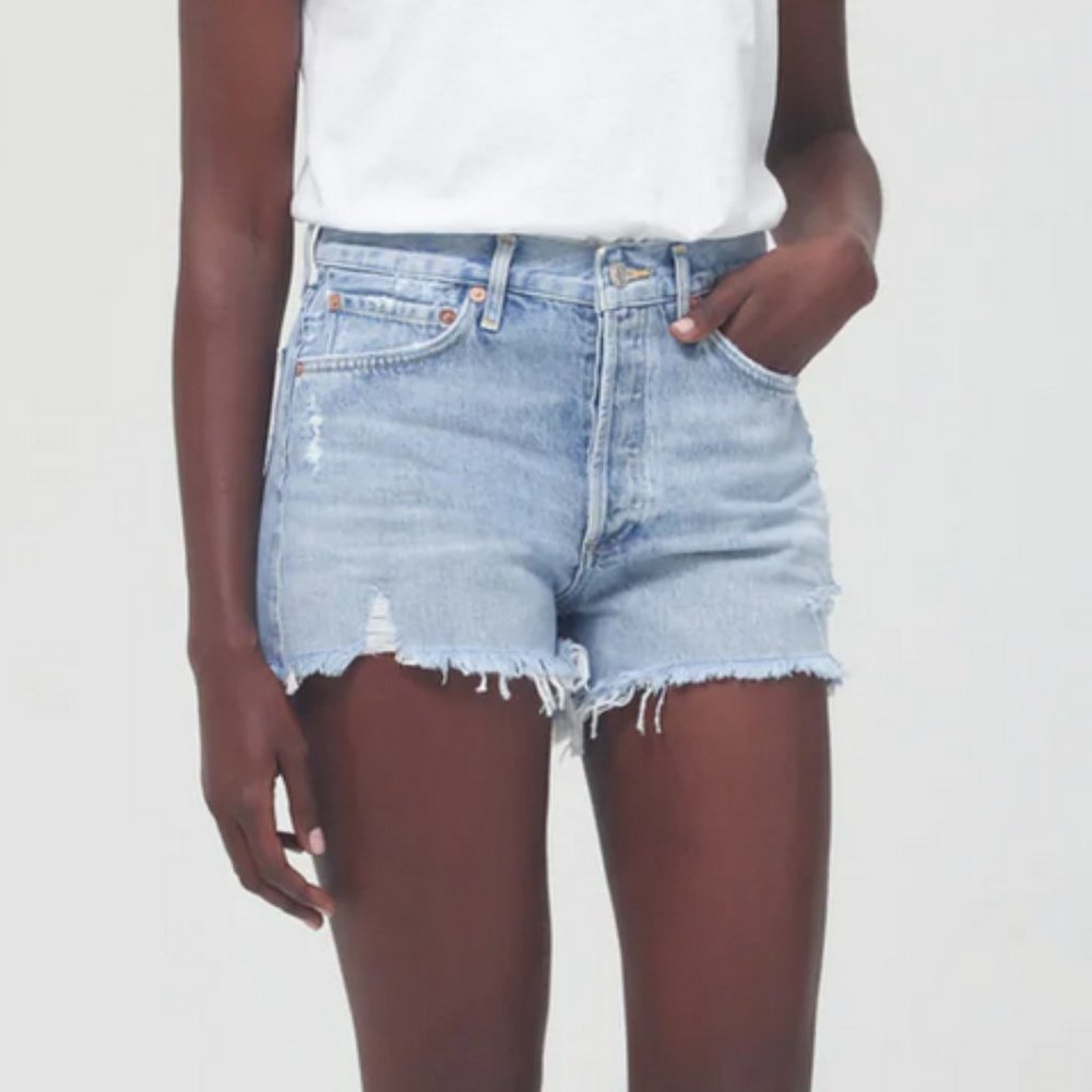 AGOLDE Parker Denim Shorts in Swapmeet Size 29